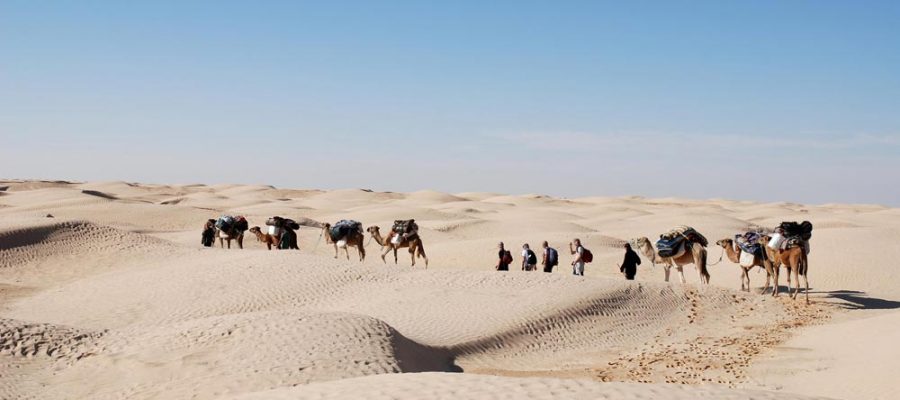 le desert tunisien bassdef au dela du regard