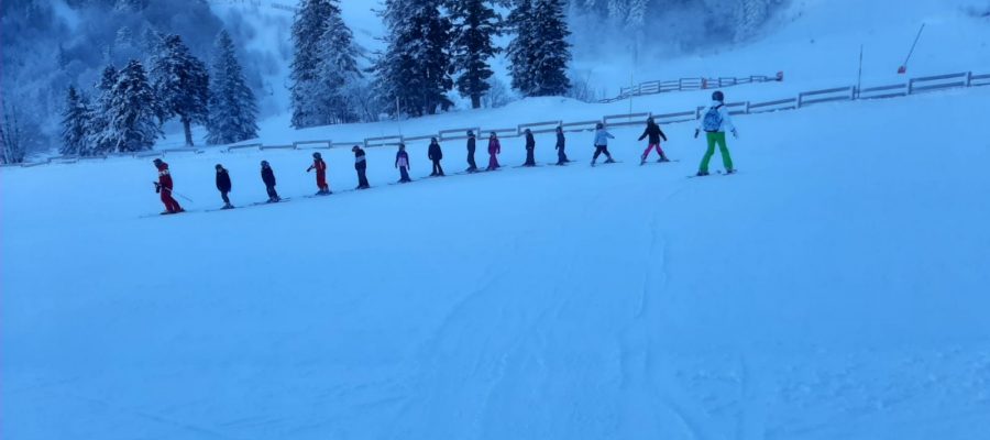 test ski